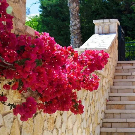 Luxury Corfu Dassia Rose Private Pool 4 Bedrooms Villa